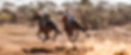 Okavango Delta Riding