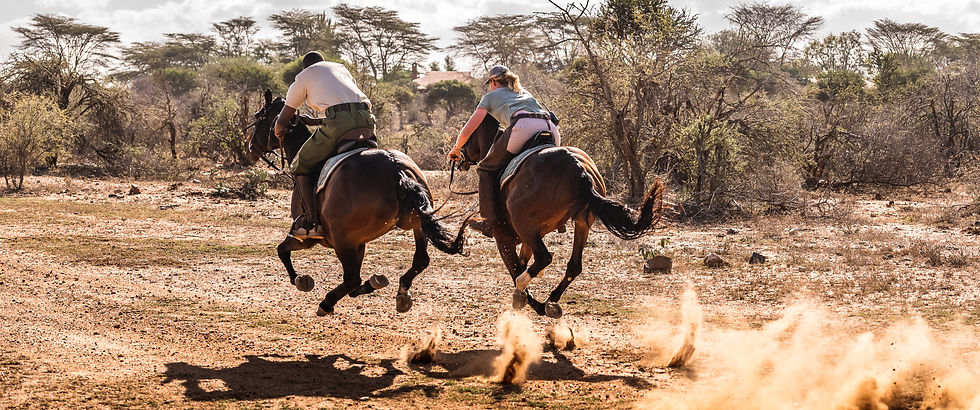 Okavango Delta Riding