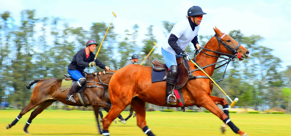 Okavango Delta Riding
