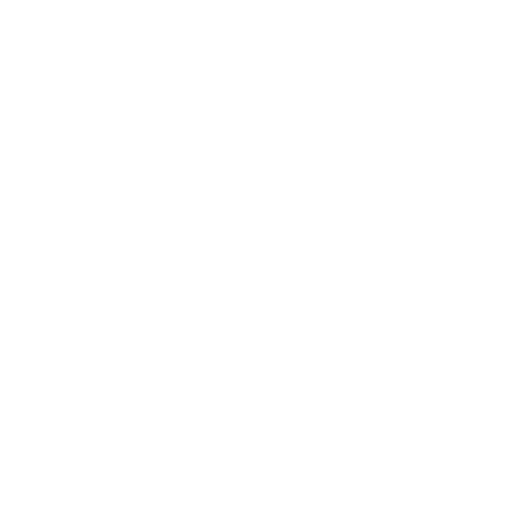 LTS white trans logo.PNG