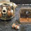 Thumbnail: Sprint 350 Carburetor Dellorto VHB27AS 69-72