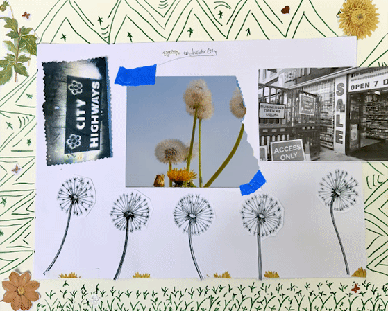 dandilion.gif