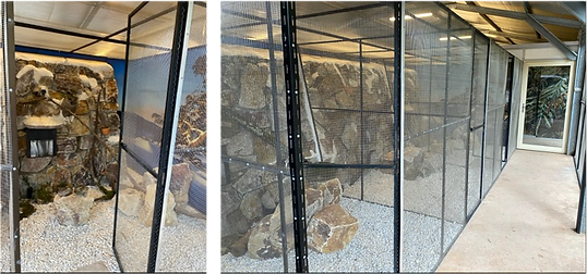 Cages with rock walls.png