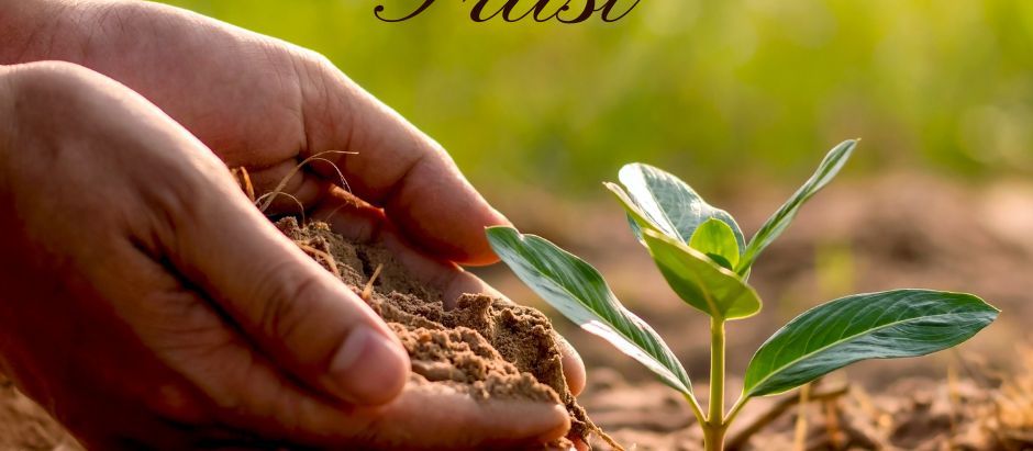 A Spiritual Foundation for Healing Self-Doubt