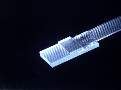 A fiber array unit (FAU) on a black background