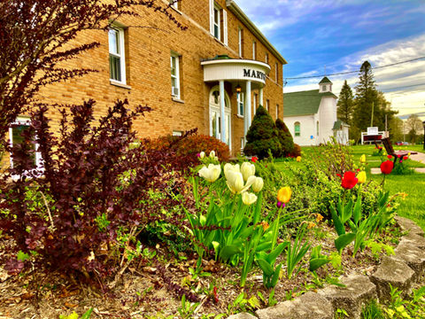 Springinbloom_edited.jpg