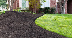 Mulch & More