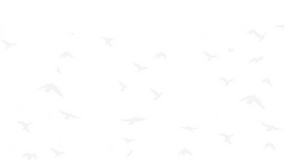 Banner Curve