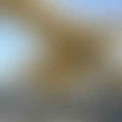 Wooden Structure of the Metropol Parasol