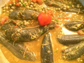 Curried Cascadura