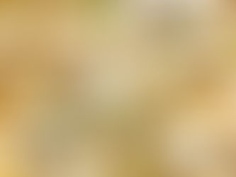 Fettuccini Alfredo Pasta