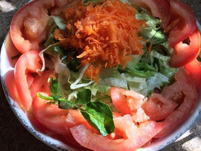 Vegetable Cuisine- Vegetable Salad