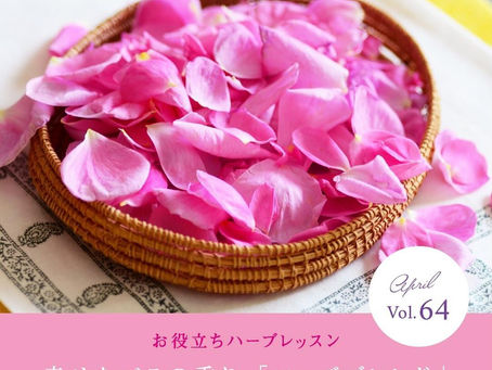ヴェーダヴィ・ローズブレンド/YUMENOKI FACTORY のハーブ便り