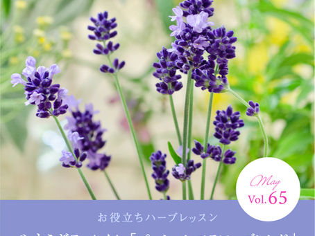 深く質の良い眠りのために✨/YUMENOKI FACTORY のハーブ便り