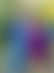 Empowering Futures: Ty and Michelle Orton Scholarship