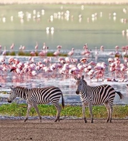 Lake-Manyara-1170x450.jpg