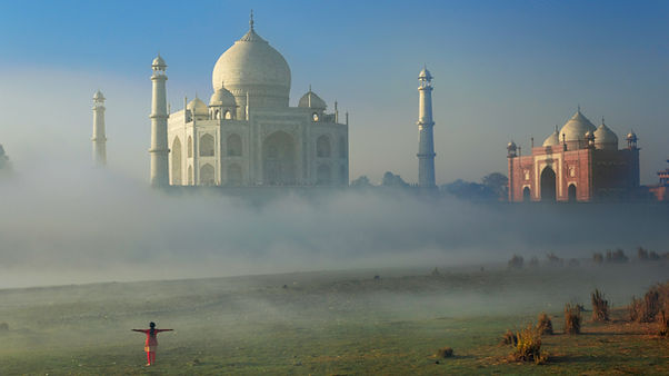 India Safari 3.jpg