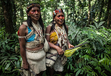 8-reasons-waorani-victory-02-es.jpg