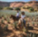 fotos de hacienda tequilera la cofradía