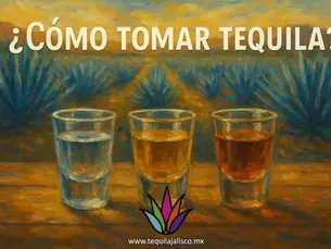 como tomar tequila