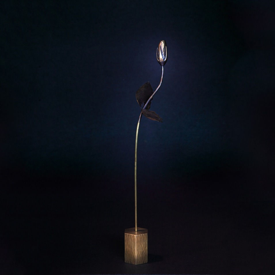 サムネイル： Platycodon - Object #1