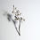 Miniature : Dancing Doll Orchid - Brooch #1