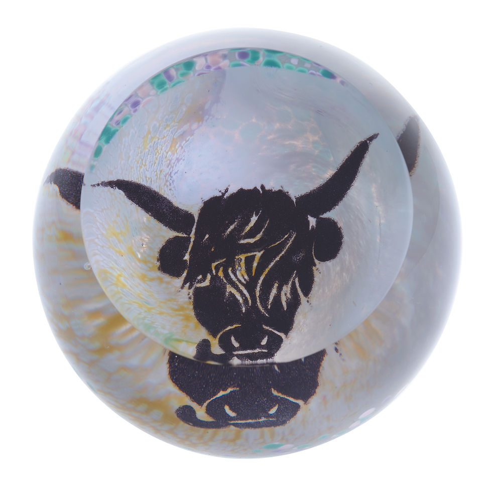 Scottish Highland Coo - Caithness Glass Paperweight