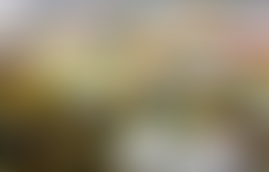 Nexus Center helps students build career skills