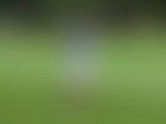 What can we expect from FSC golf this season?