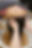 ChatGPT Image 2025年7月6日 21_36_20.png