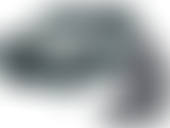 2nd Gen Sequoia outfitted with a scheel-mann Vario F using OEM seat heater switch