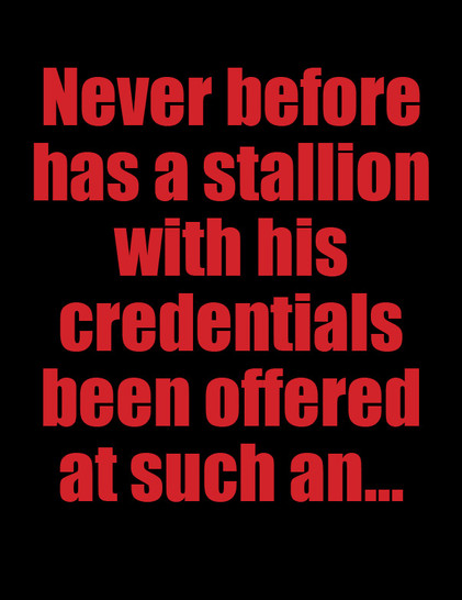 NCHA CHATTER SPRING '22 PAGE 1