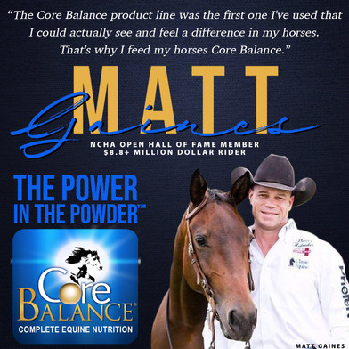 MATT GAINES FOR CORE BALANCE
