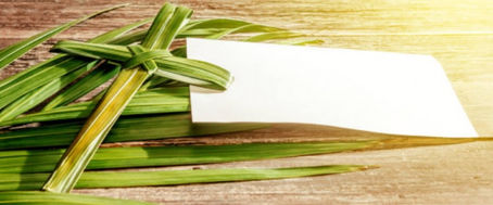 Κυριακή των Βαΐων - Αφιέρωμα στον Δάσκαλο Ιωάννη σε ανάμνηση της αποχώρησής του