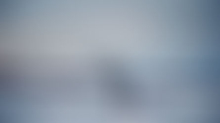 'JOHANNA' by Ian Derry