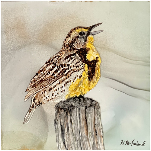 Fine Art Print | Western Meadowlark | Fine Art by Brianna
