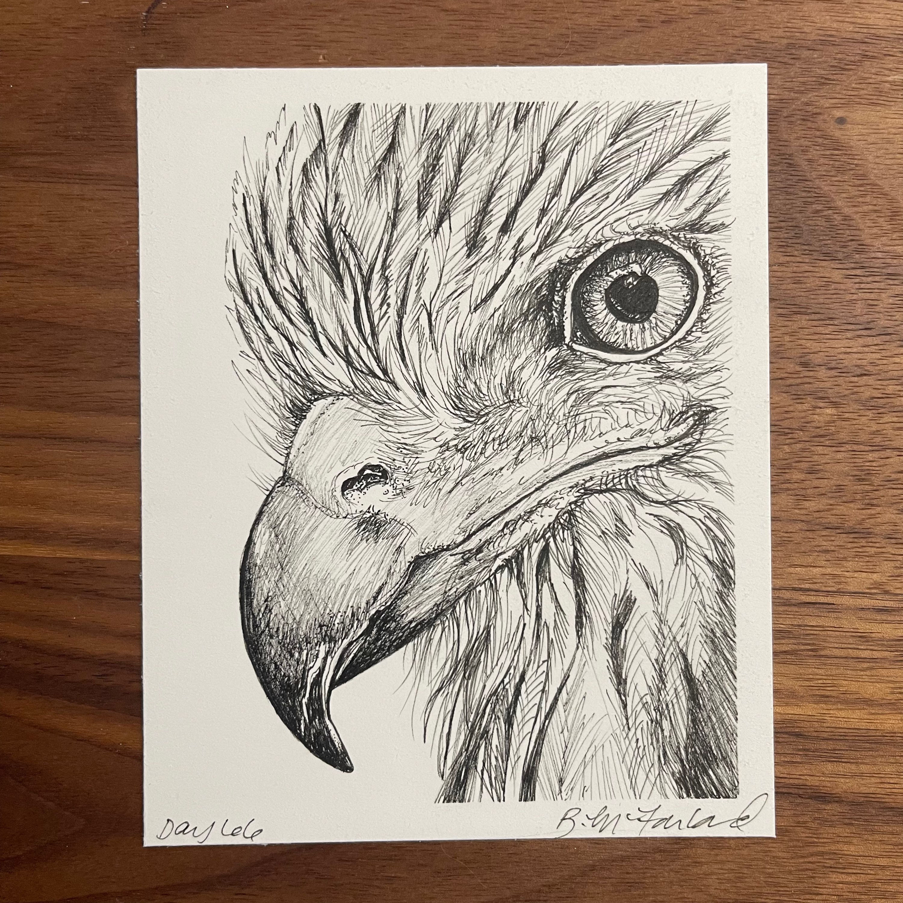 Day 66 | November 5, 2023