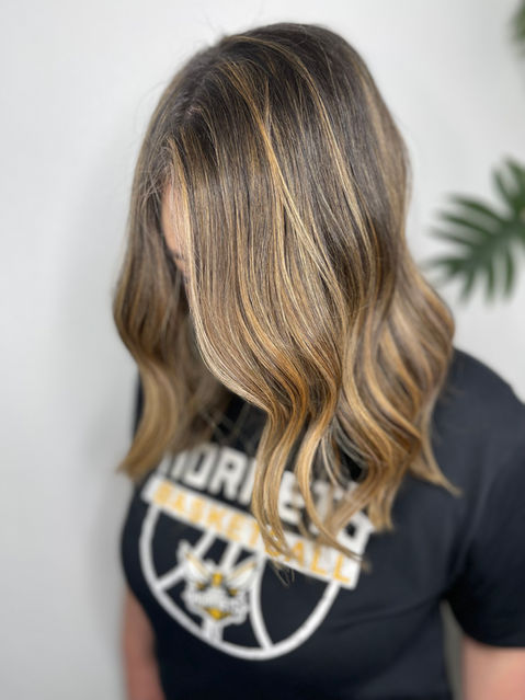 Olaplex hair treatment South Austin