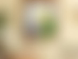 The Charming Life of a California Doodle