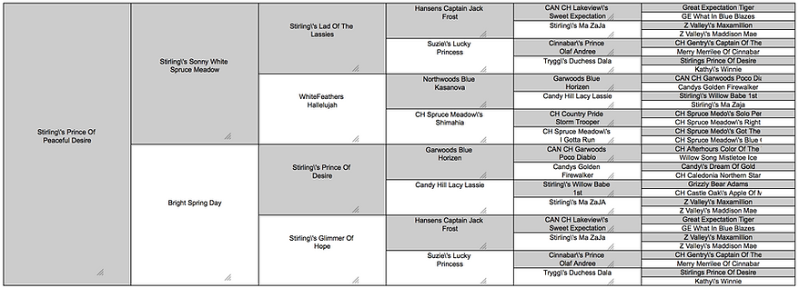 Prince II Pedigree