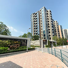 IMG_0856~photo-full.jpg