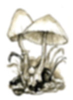 03 - Plantpot Dapperling