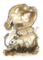 30 - Mouse