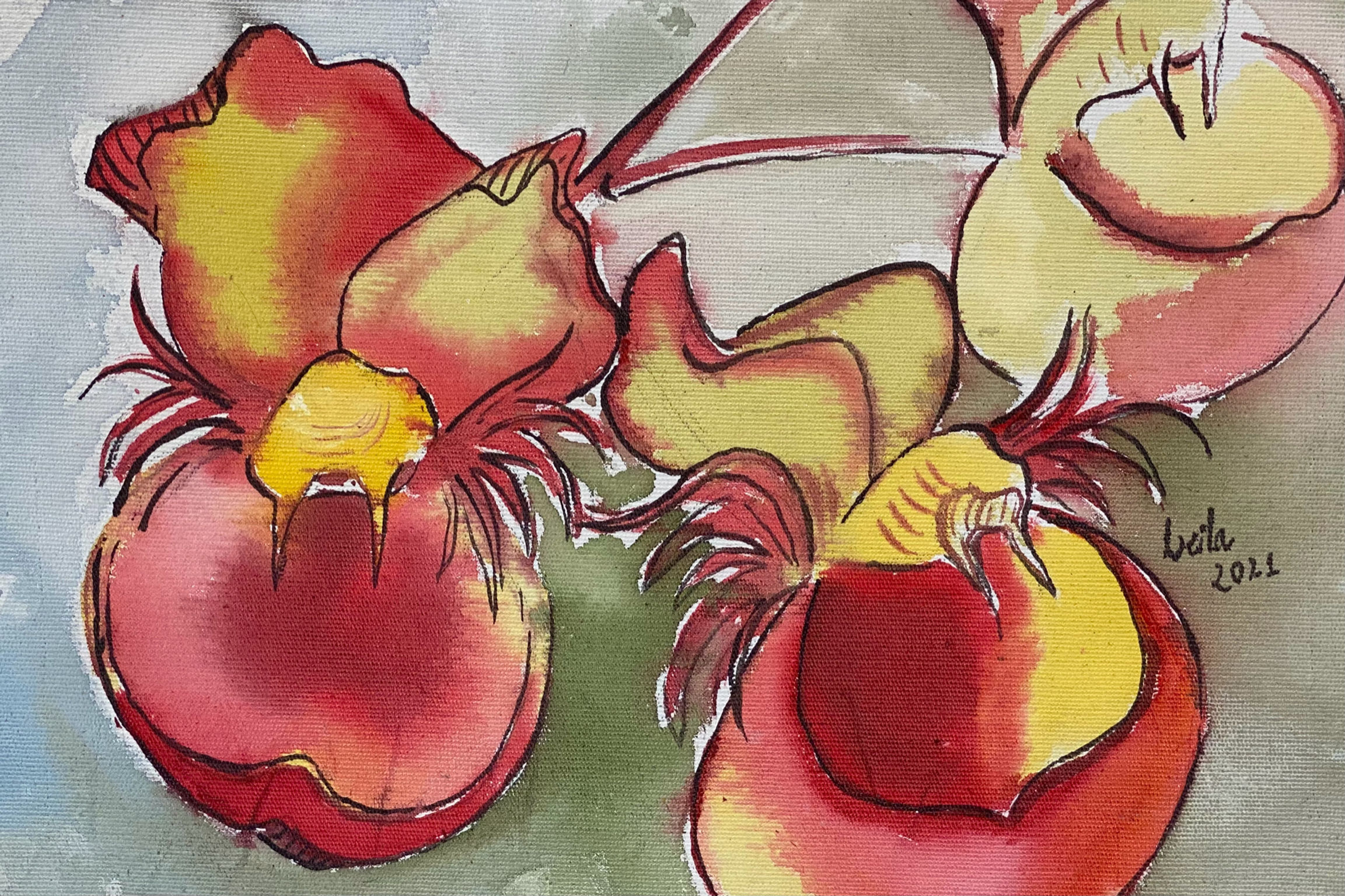 Orquídeas de Roraima - Catasetum longifolium - Projeto