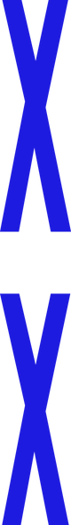 title-XX-blue.png