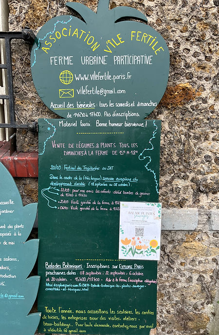 présentation v'ile fertile