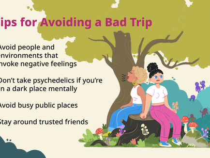 Understanding the Complexities of a "Bad Trip"