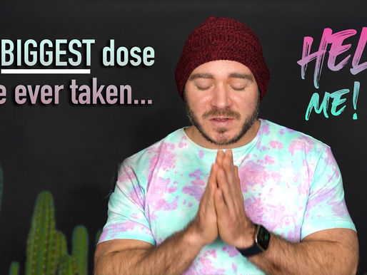 Exploring the Depths of the Psyched Substance San Pedro Experience