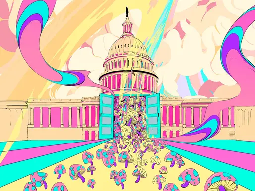 States Across the US Look to Make Headway on Psychedelics Reform in 2023
