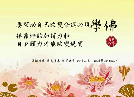 15915907-ae2cda4660dd6650.png.png